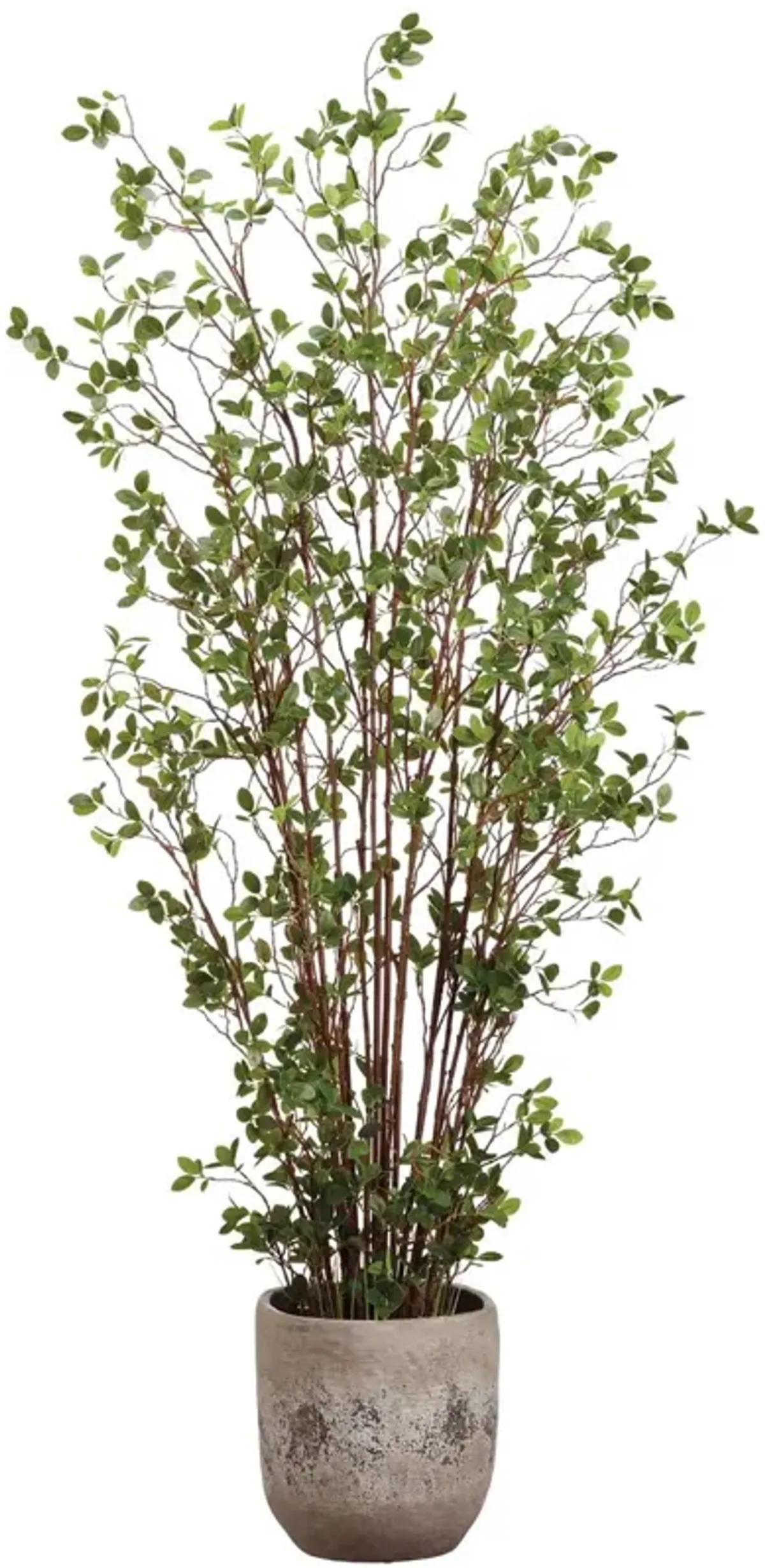 6' Mini Leaf in Cement Planter, Faux