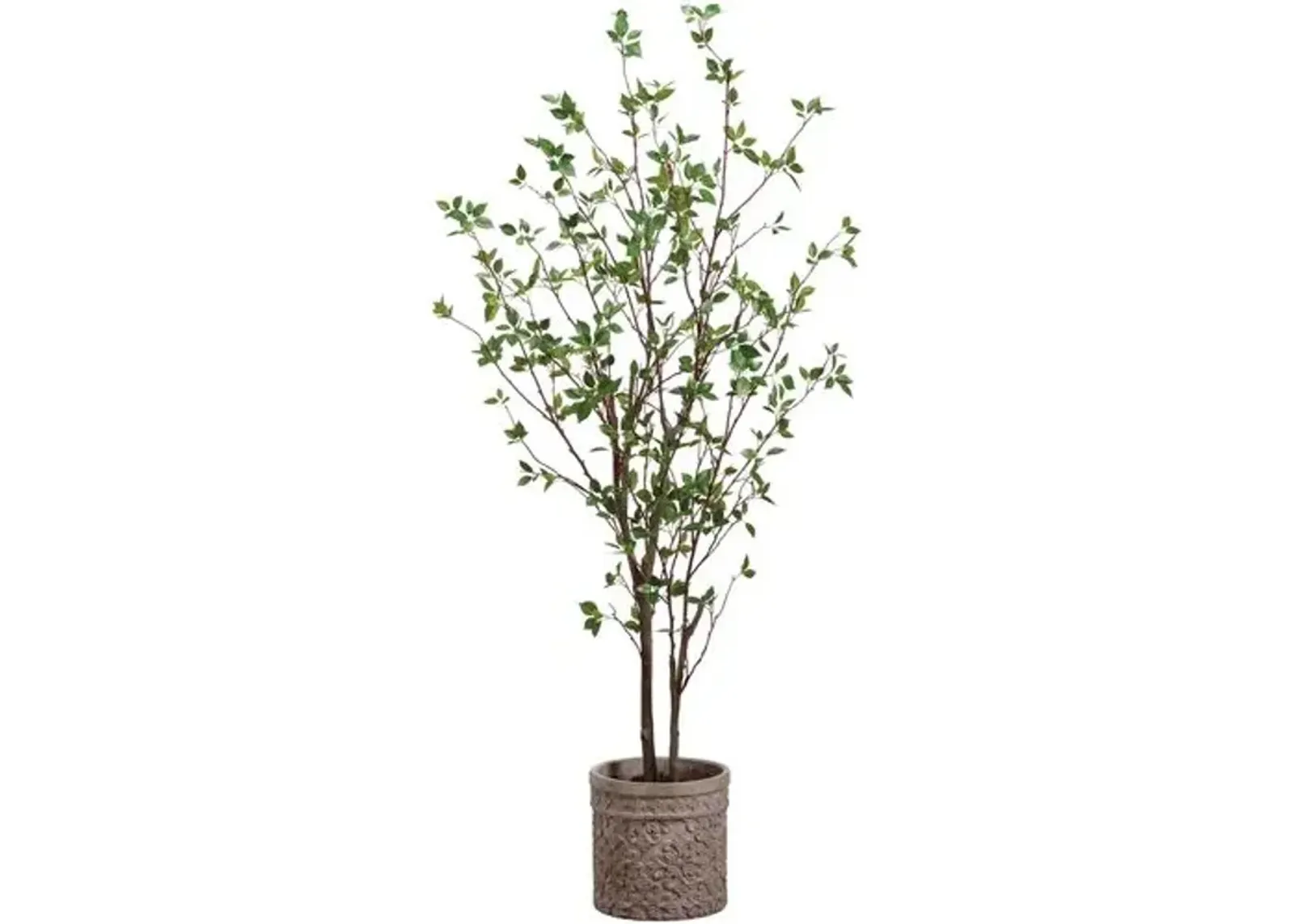 80" Cornus Tree in Terra Cotta Planter - Faux - Green - 80Hx19.5Lx16.3W in