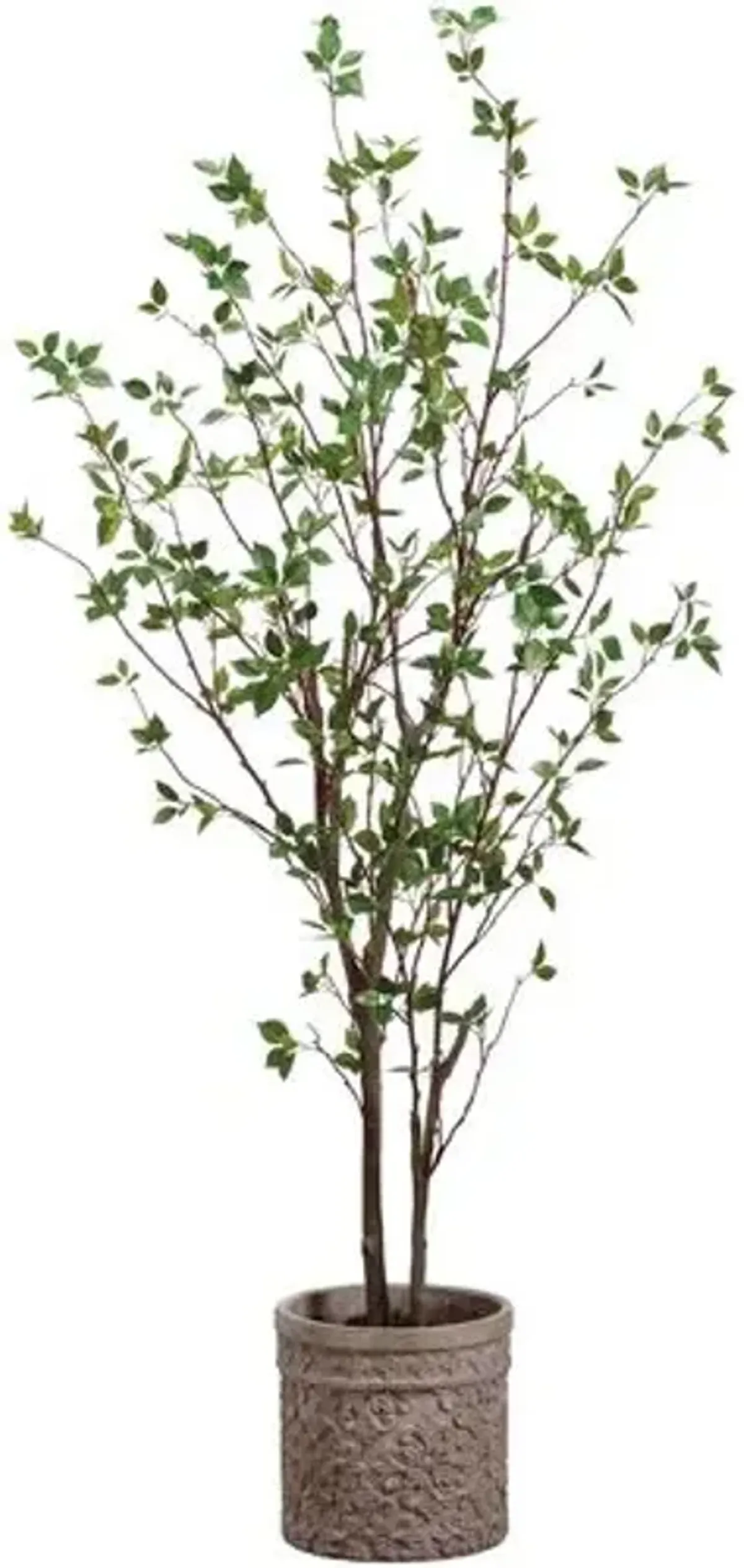 80" Cornus Tree in Terra Cotta Planter - Faux - Green - 80Hx19.5Lx16.3W in