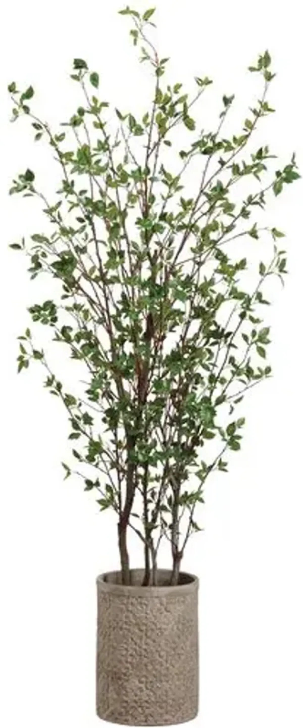 85" Cornus Tree in Fiber Cement Planter - Faux - Green - 85Hx19.5Lx16.25W in