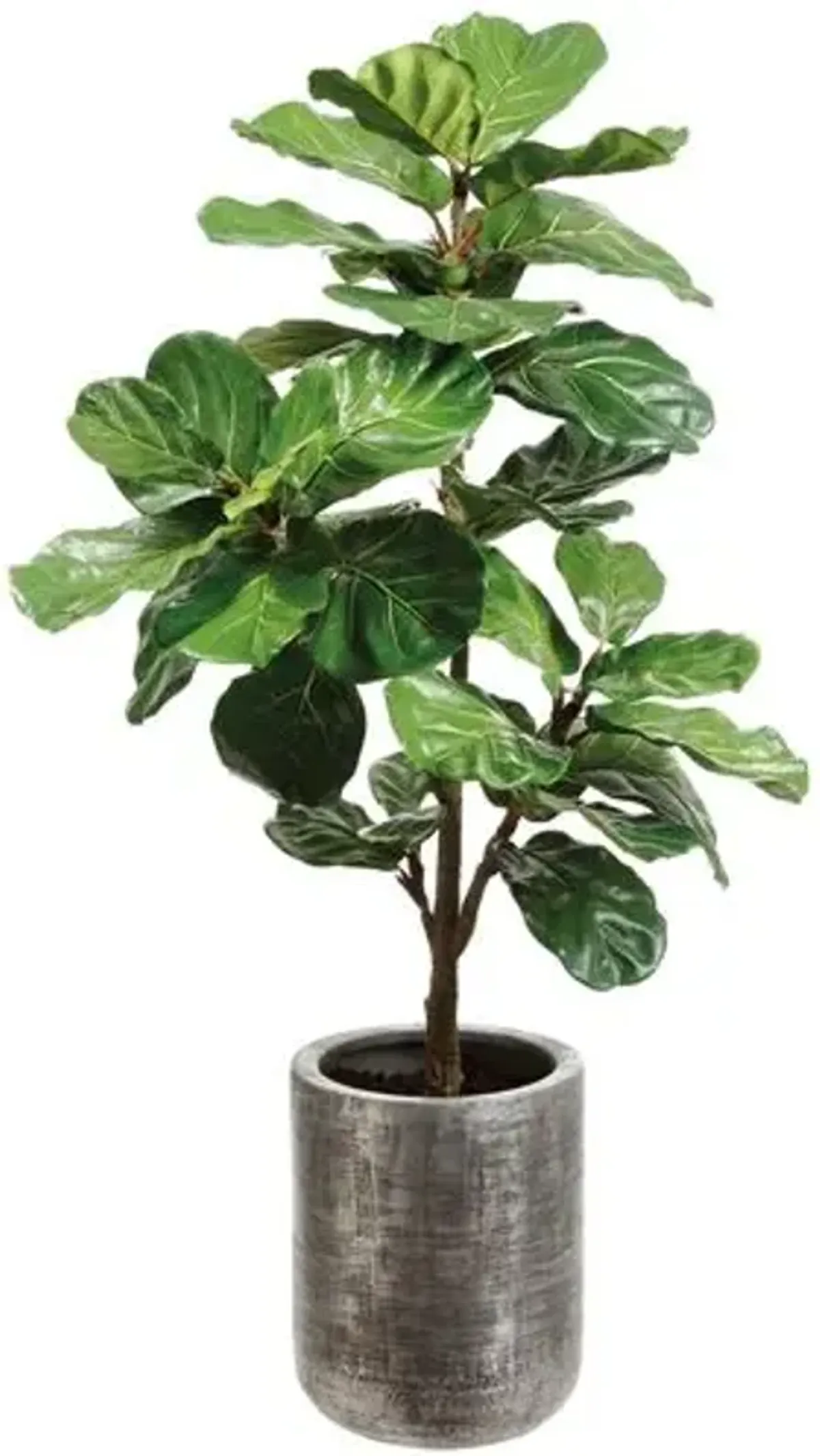 5' Fiddle Leaf Plant in Textured Antique Zinc Planter - Faux - Green - 58Hx32Lx32W in