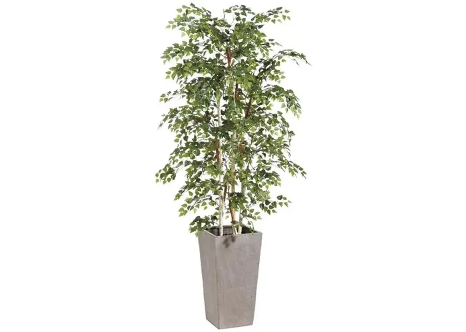 88" Birch Tree in Fiber Cement Planter - Faux - Green - 88Hx16Lx16W in