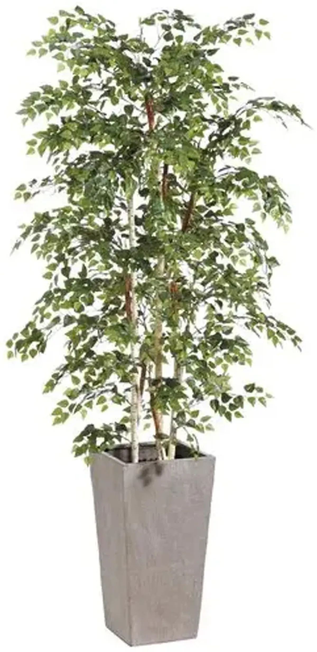 88" Birch Tree in Fiber Cement Planter - Faux - Green - 88Hx16Lx16W in