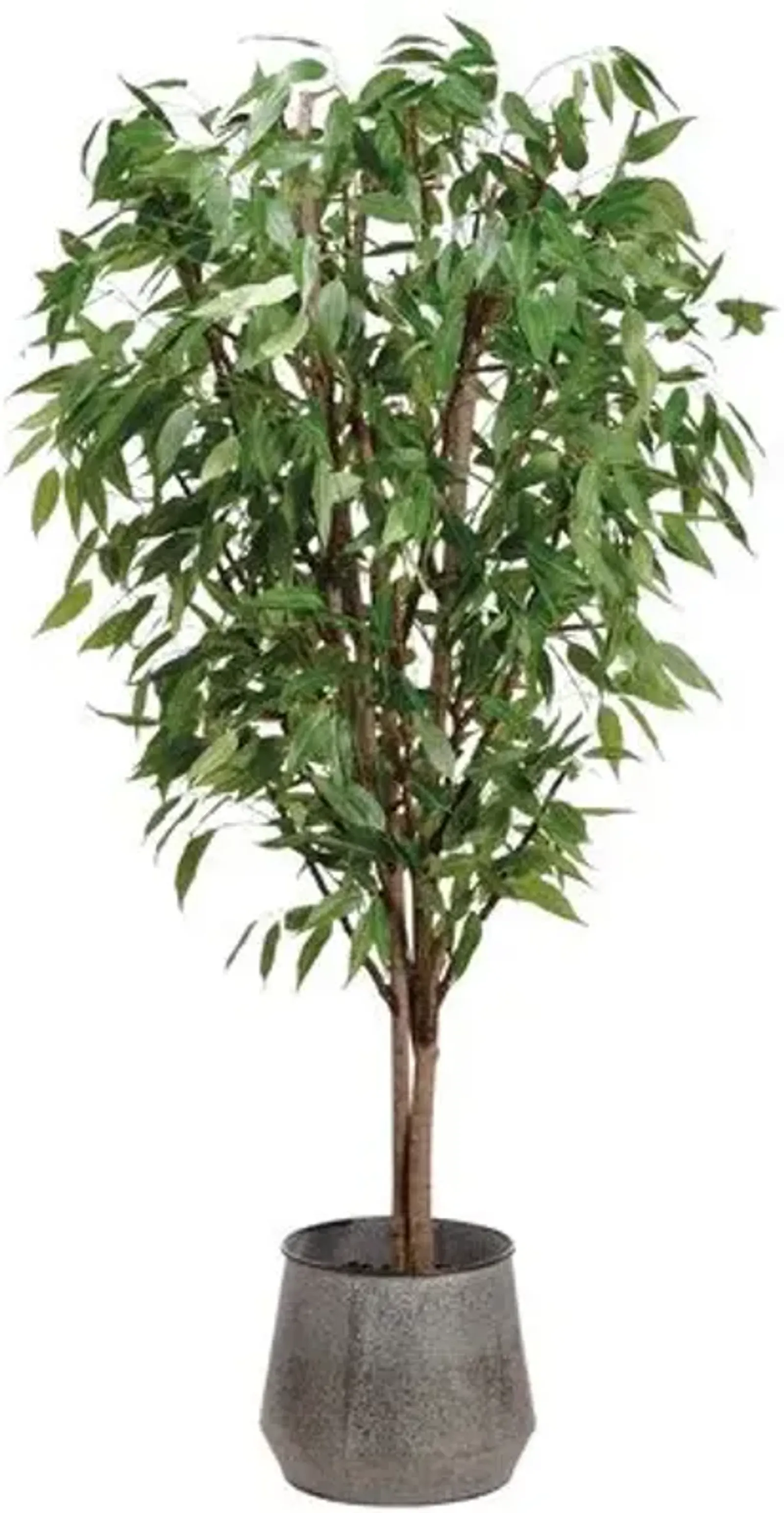 8.5' Eucalyptus Tree in Planter - Faux - Green - 102Hx22Lx22W in