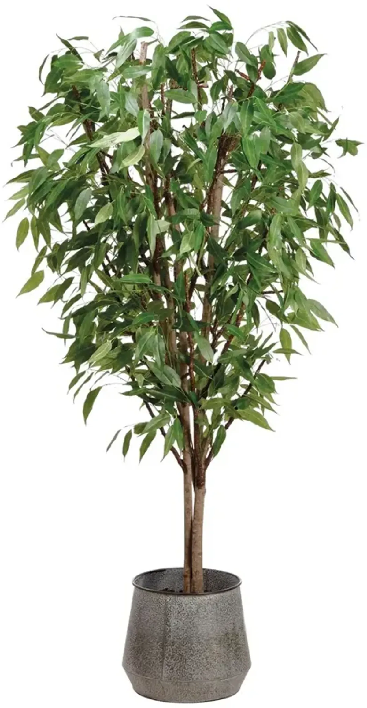 8.5' Eucalyptus Tree in Planter, Faux