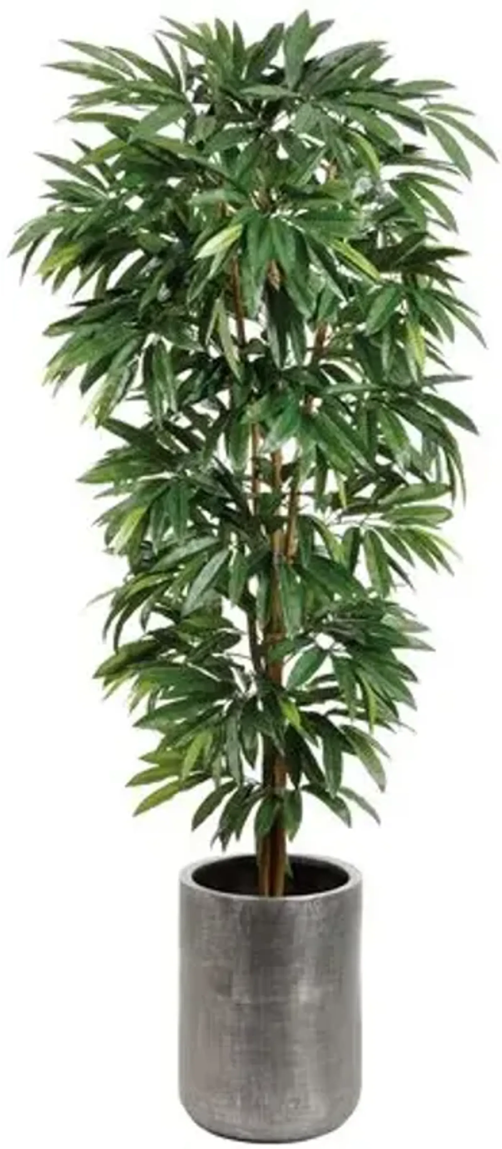 87" Mango Tree in Textured Antique Zinc Planter - Faux - Green - 87Hx22.25Lx22.25W in