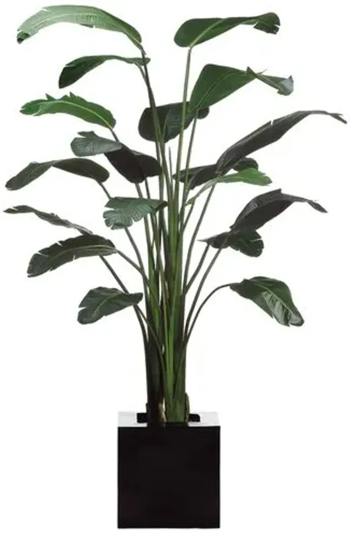 8' Bird of Paradise Plant in Resin Planter - Faux - Green - 95Hx22.25Lx22.25W in