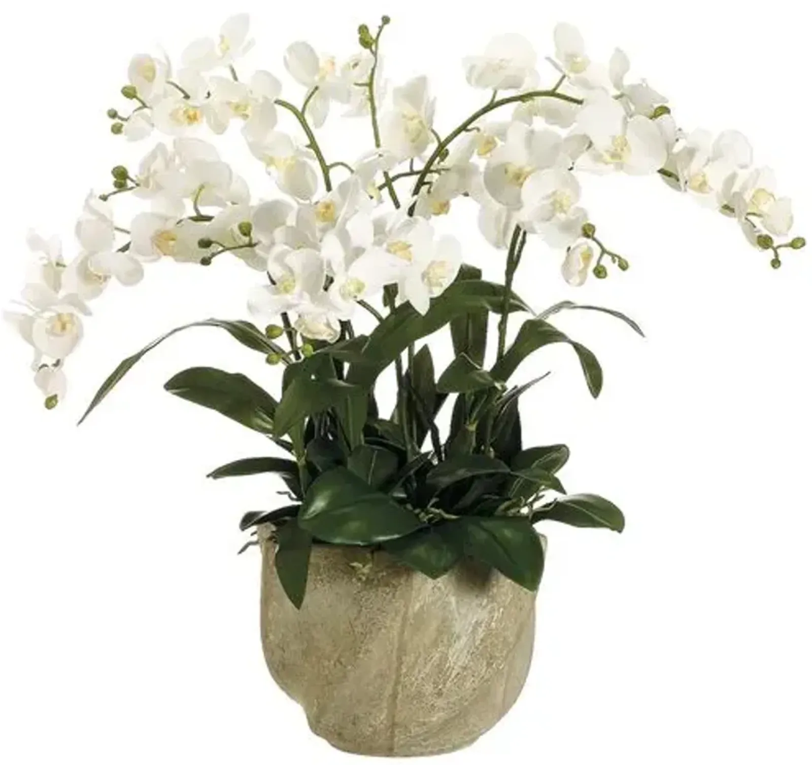 30" Phalaenopsis Orchid in Star Pot - Faux - White