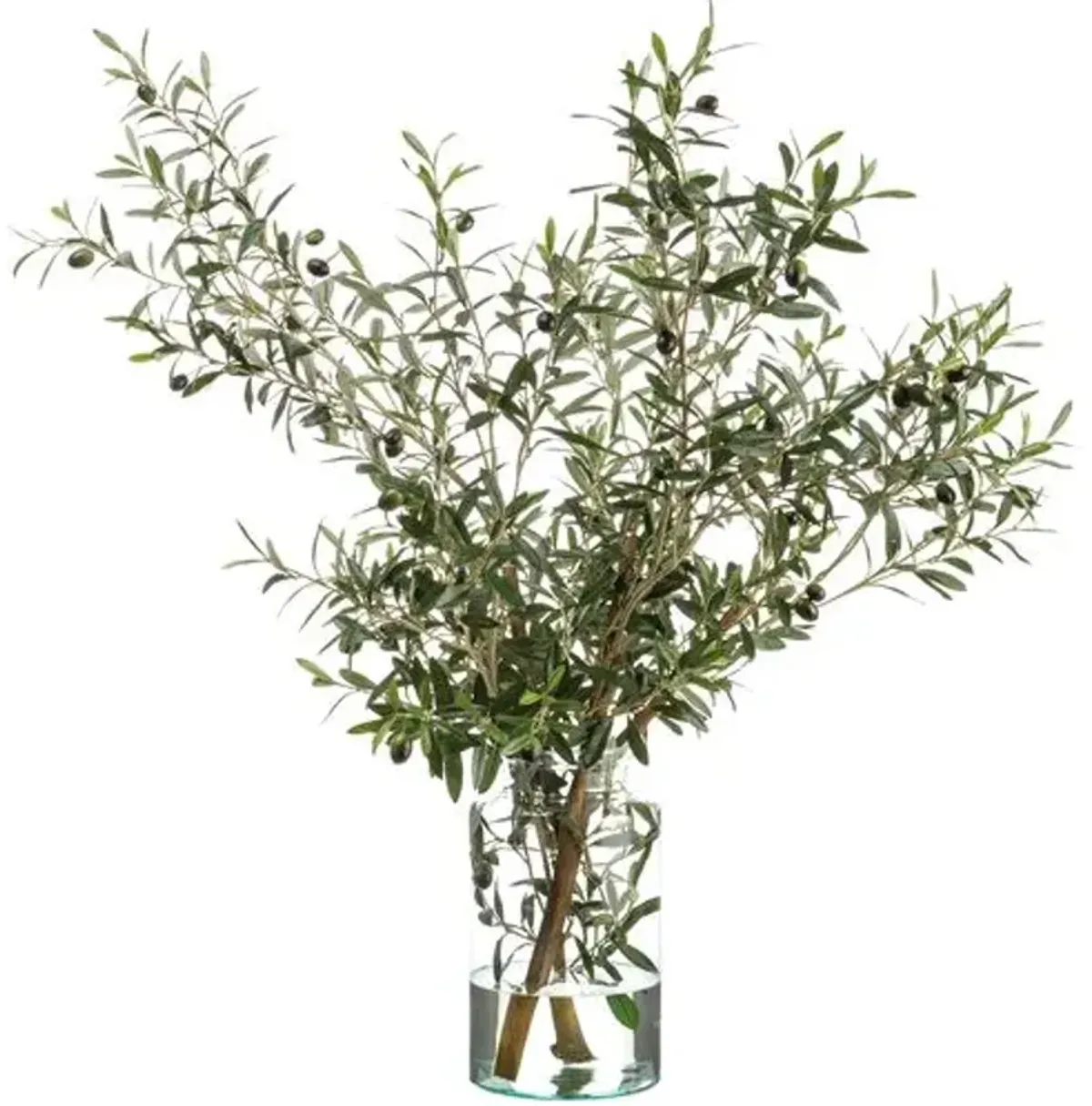 4' Olive Tree Branches in Glass Vase - Faux - Green