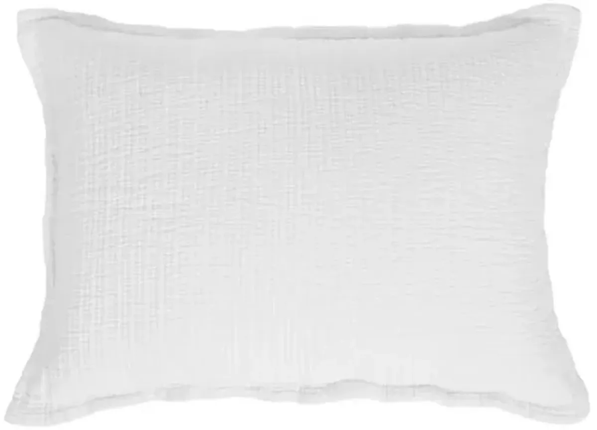 Chatham Sham - Pom Pom at Home - White