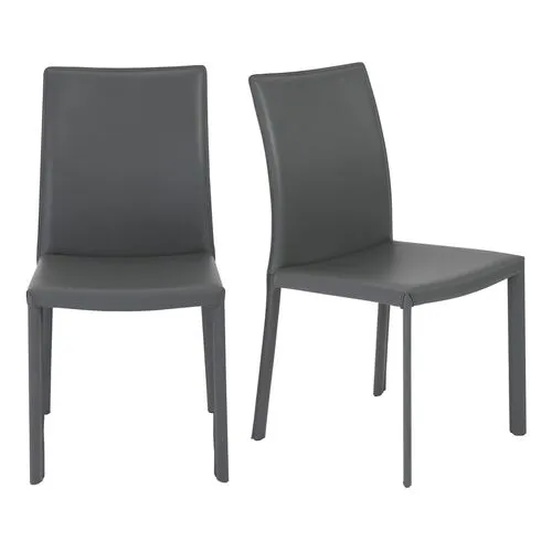 Set of 2 Sedona Side Chairs - Gray