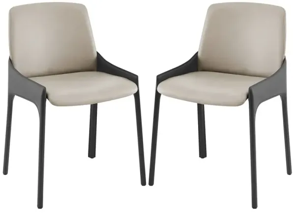 S/2 Merano Side Chairs, Gray