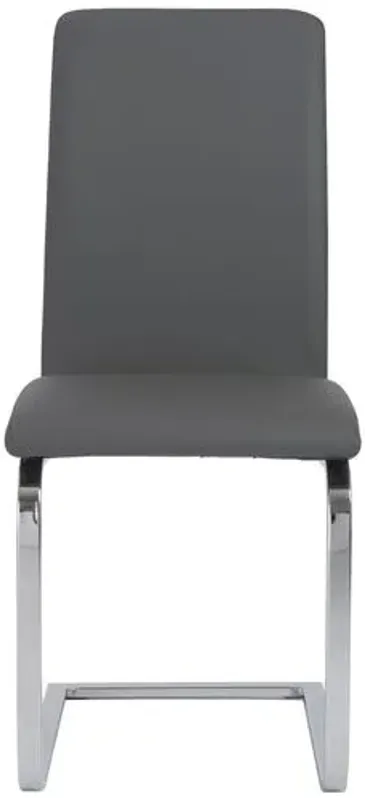 Set of 2 Sereno Side Chairs - Gray