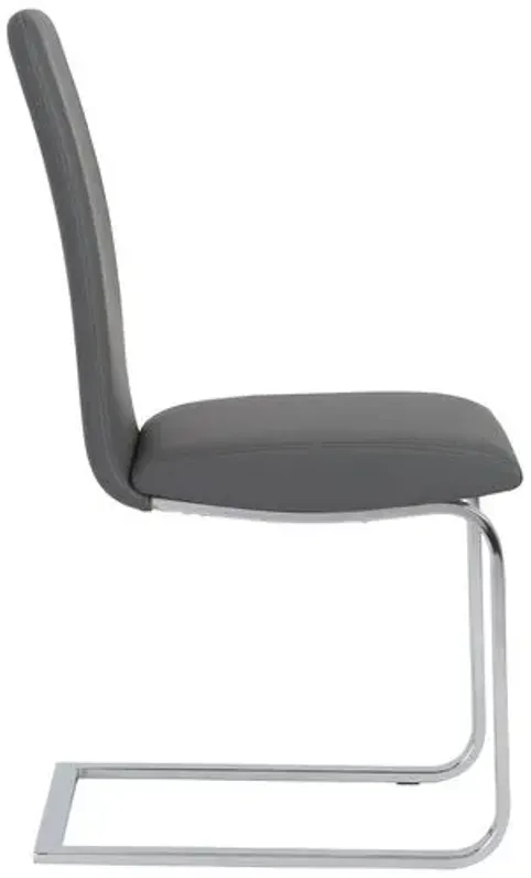 Set of 2 Sereno Side Chairs - Gray