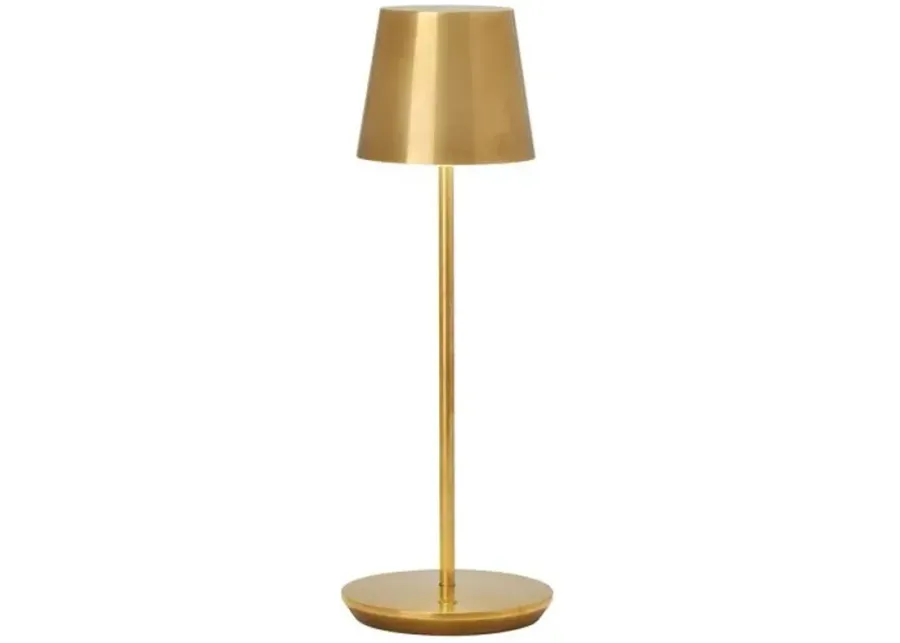 Visual Comfort - Nevis Indoor/Outdoor Accent Rechargeable Table Lamp - Gold