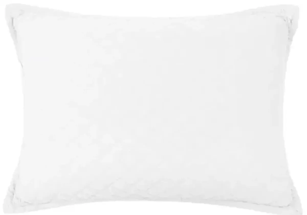 Monaco 28x36 Big Pillow - Pom Pom at Home