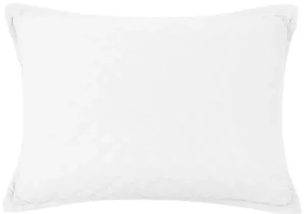 Monaco 28x36 Big Pillow - Pom Pom at Home