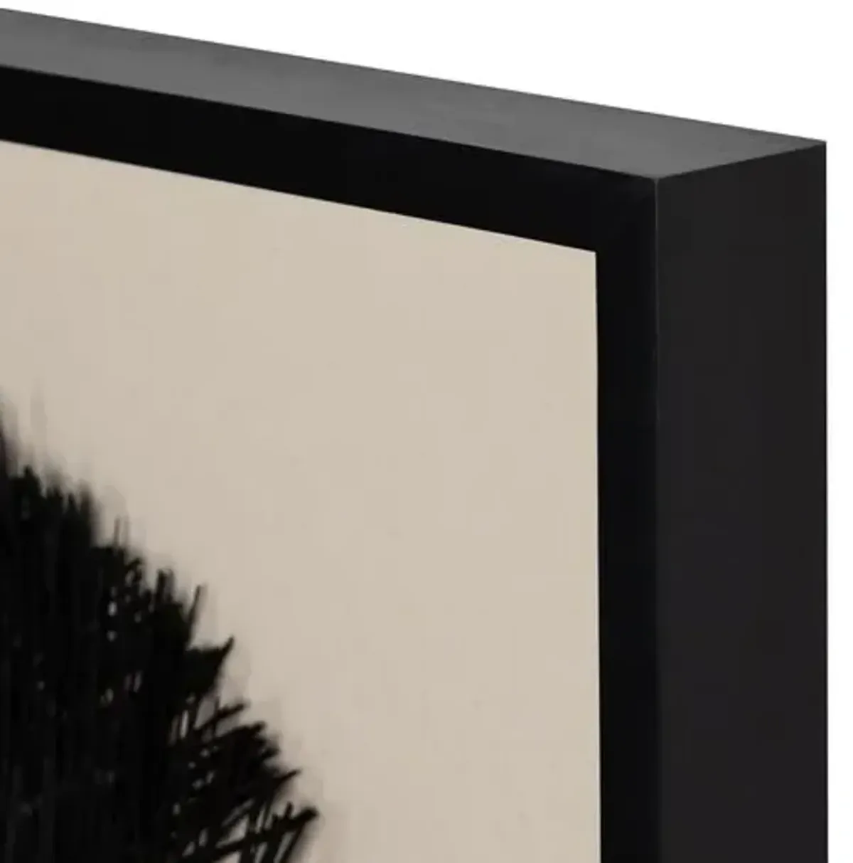 Ari - Framed Seagrass Object - Black