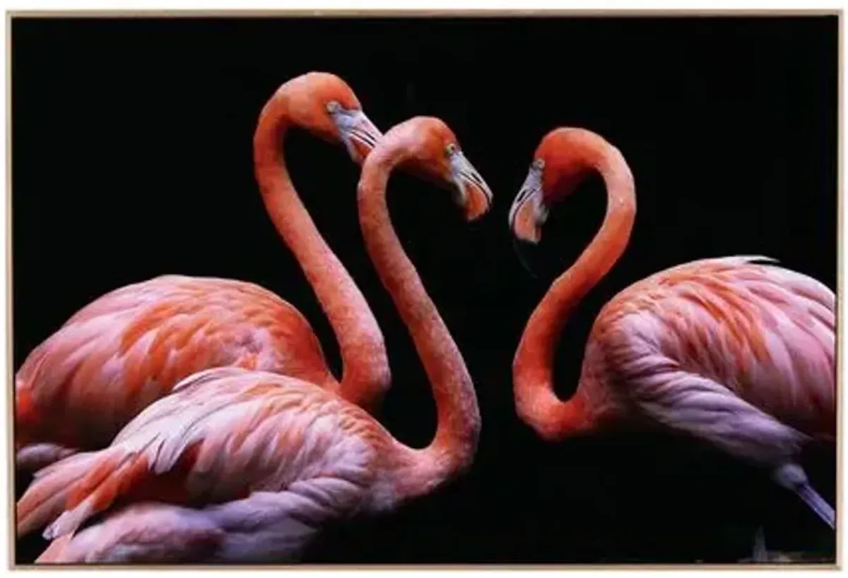 Getty Images - Three Flamingos - Multi