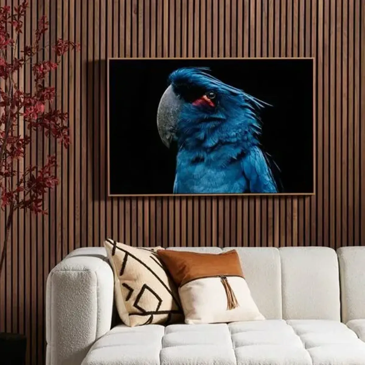 Getty Images - Palm Cockatoo - Blue