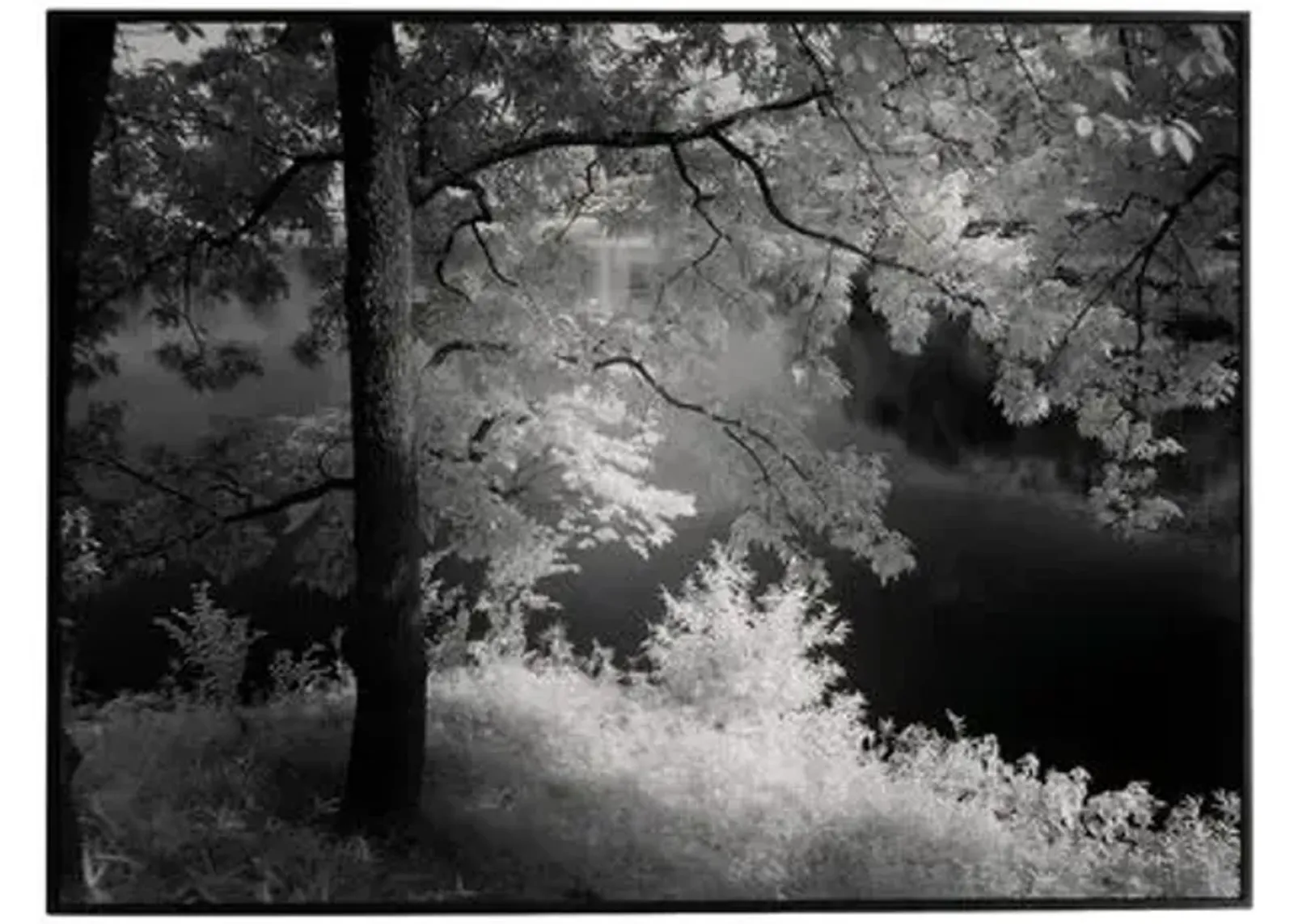 Getty Images - Summer Light - Black