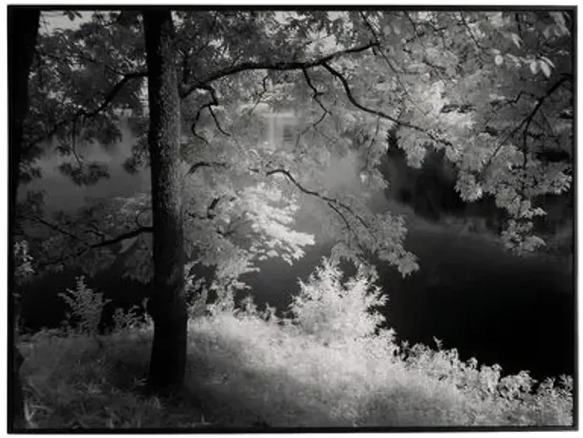 Getty Images - Summer Light - Black