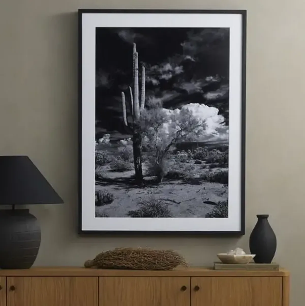 Getty Images - Sonoran Desert - Black