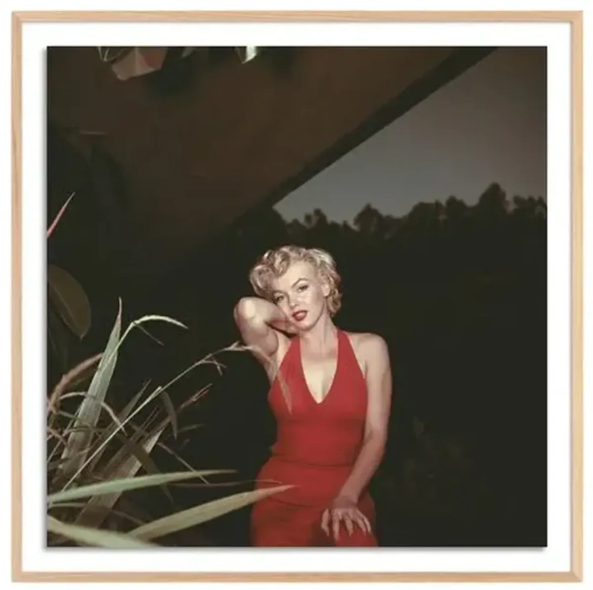 Getty Images - Marilyn Monroe 1954 - Brown