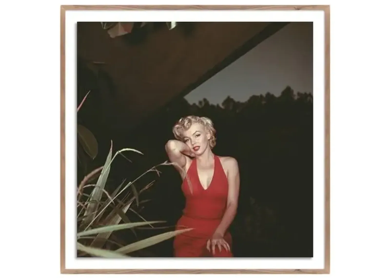 Getty Images - Marilyn Monroe 1954 - Brown