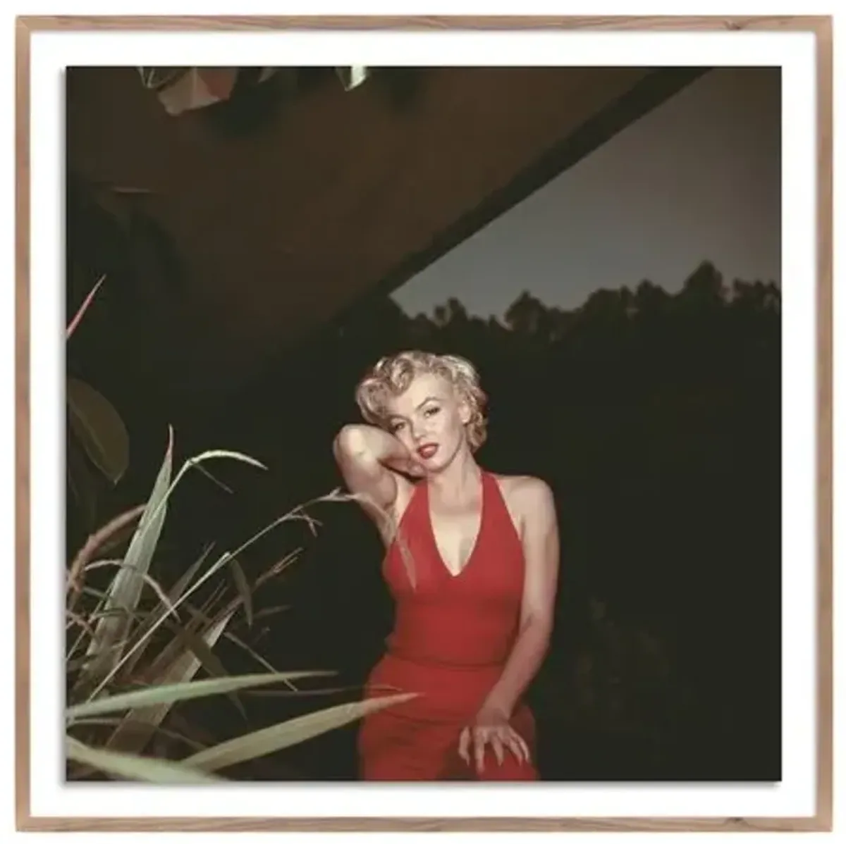 Getty Images - Marilyn Monroe 1954 - Brown