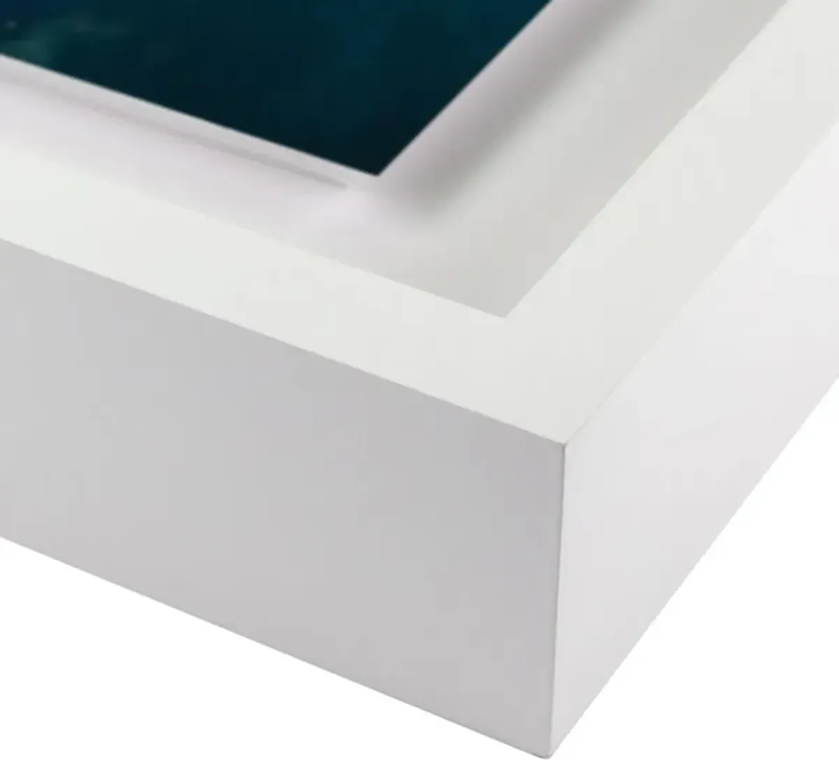 Getty Images, Prince Live At The Forum