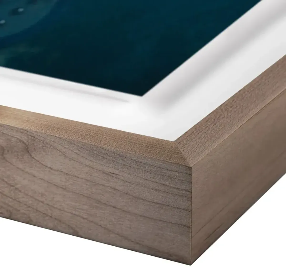 Getty Images, Prince Live At The Forum