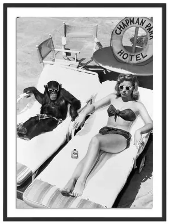 Getty Images - Woman Sunbathing With Chimpanzee - Black