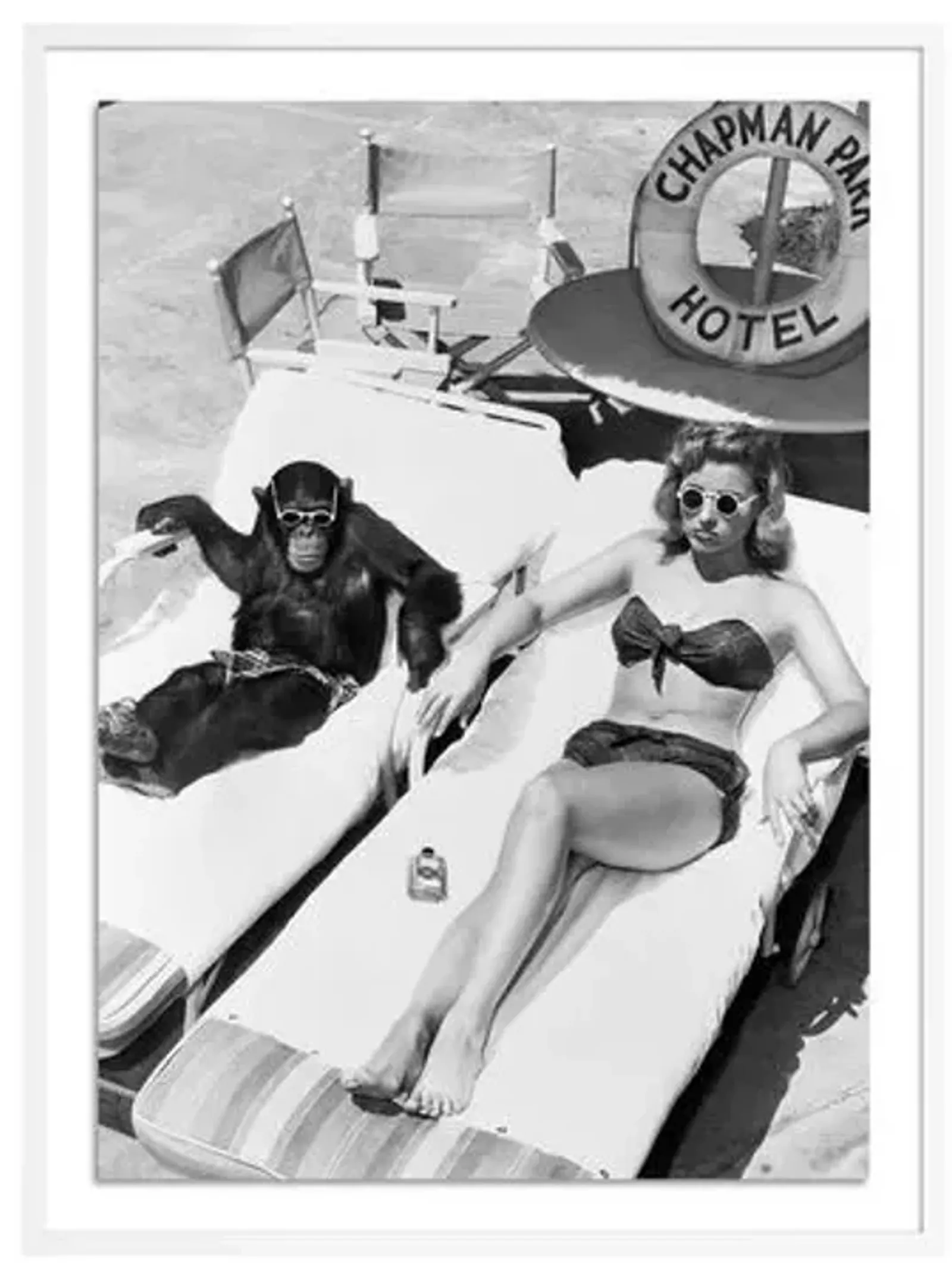 Getty Images - Woman Sunbathing With Chimpanzee - White