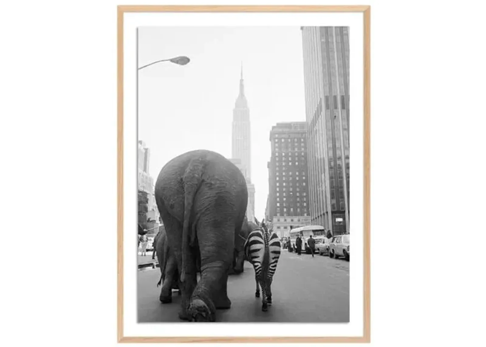 Getty Images - Circus Animals On 33Rd St - Multi