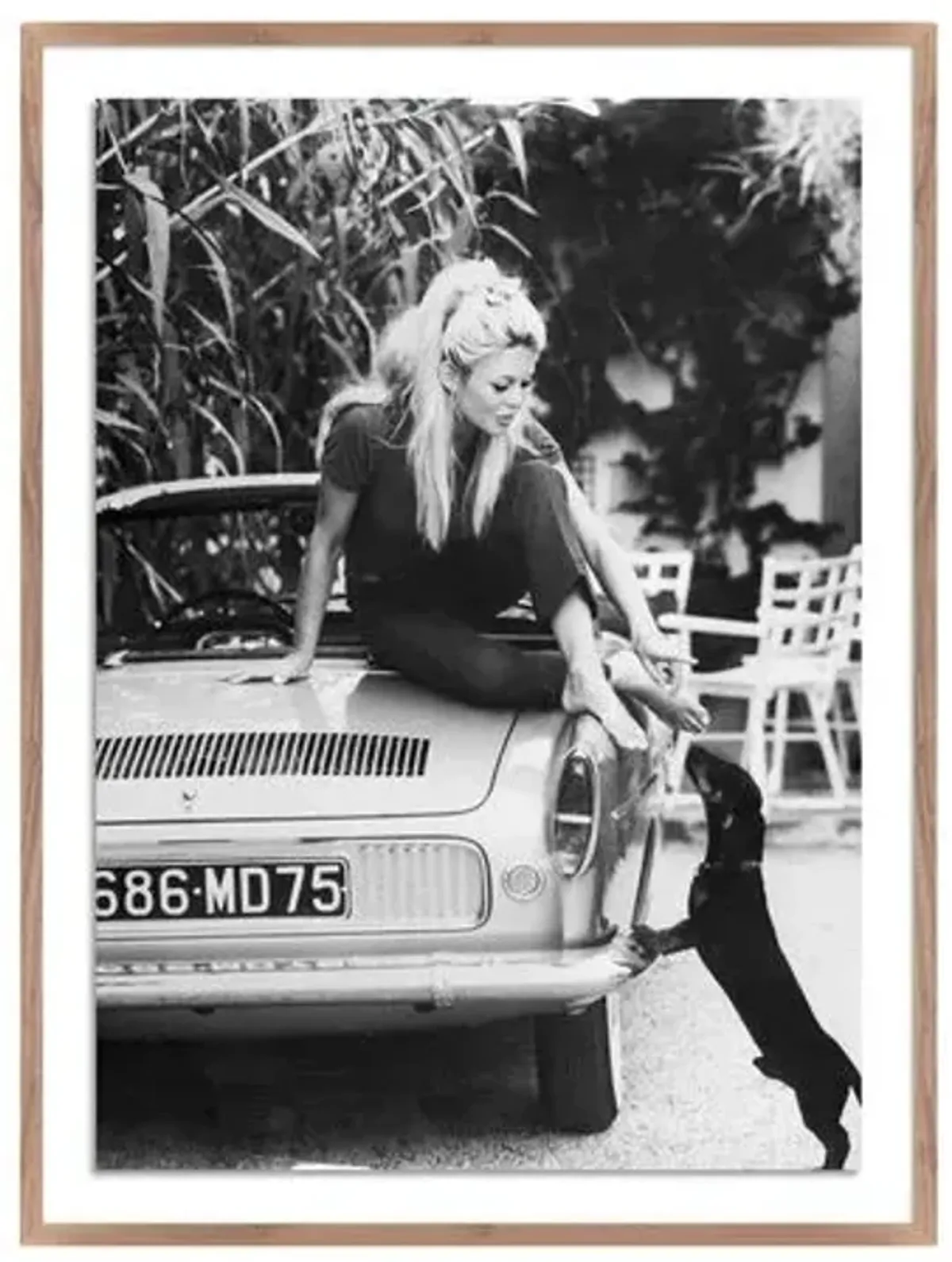 Getty Images - Brigitte Bardot With Dashchund - Brown