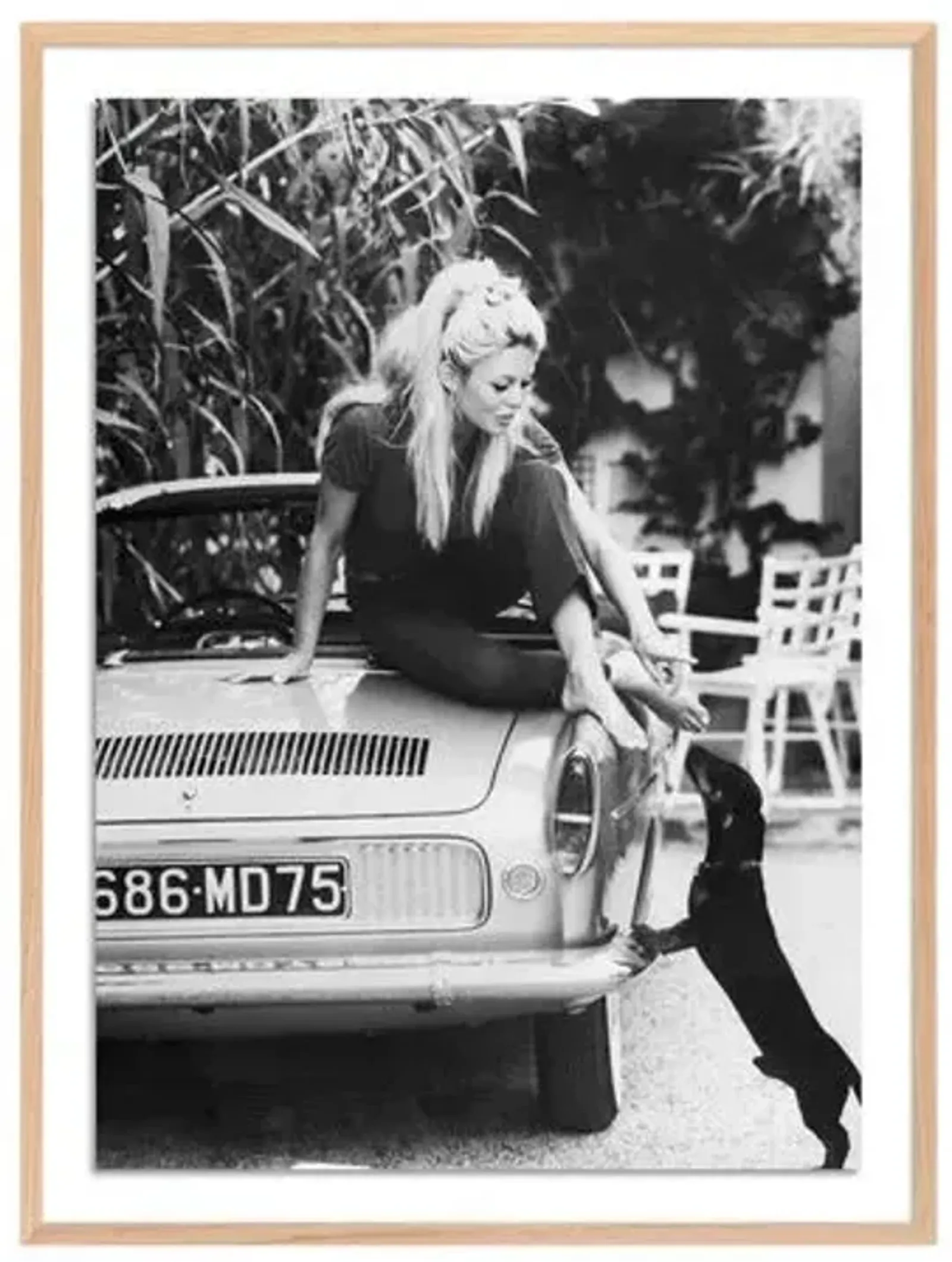 Getty Images - Brigitte Bardot With Dashchund - Multi