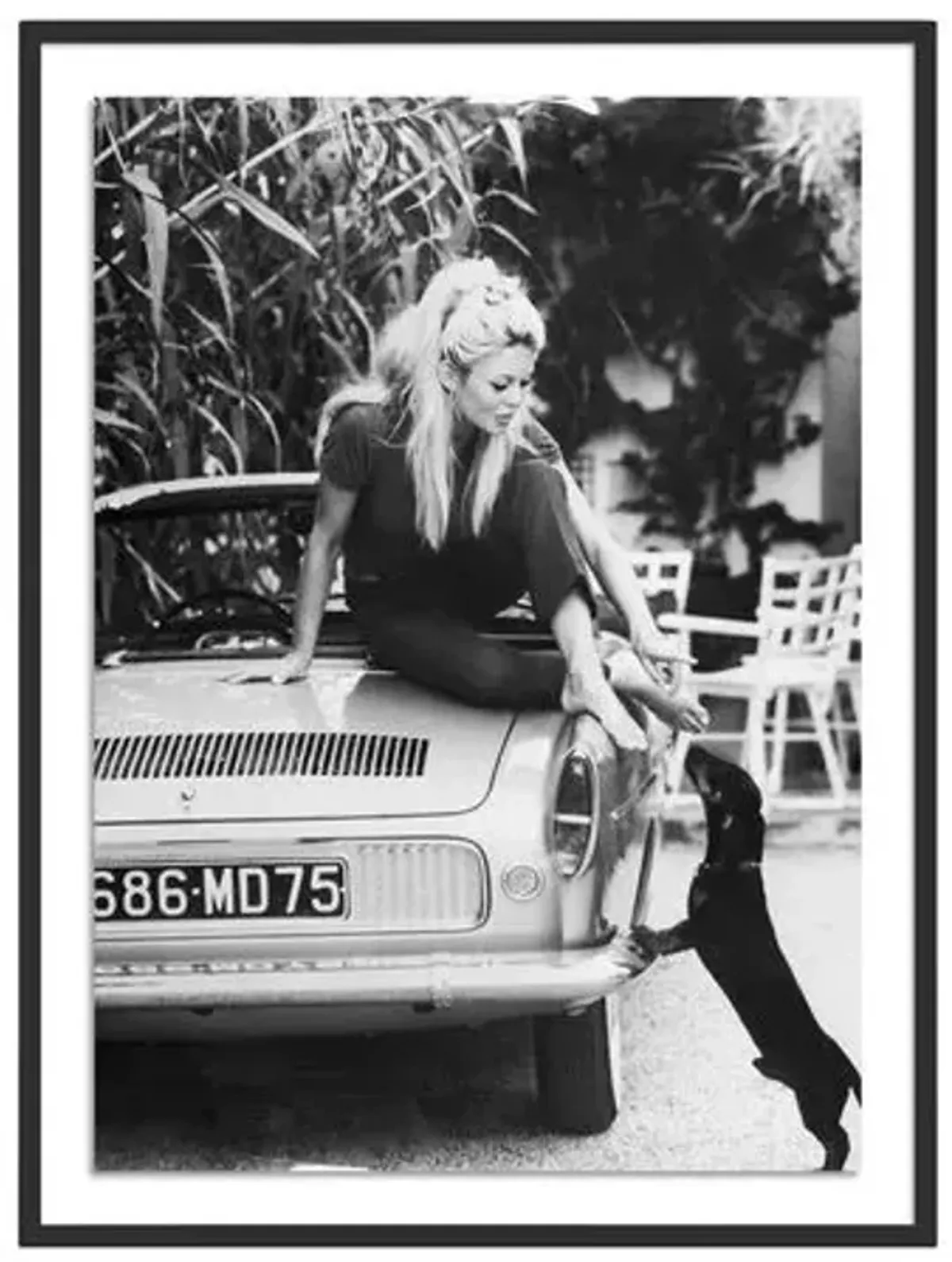 Getty Images - Brigitte Bardot With Dashchund - Black