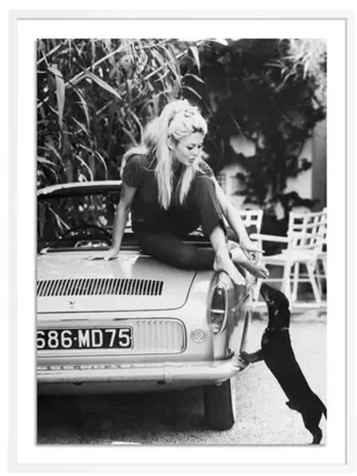 Getty Images - Brigitte Bardot With Dashchund - White