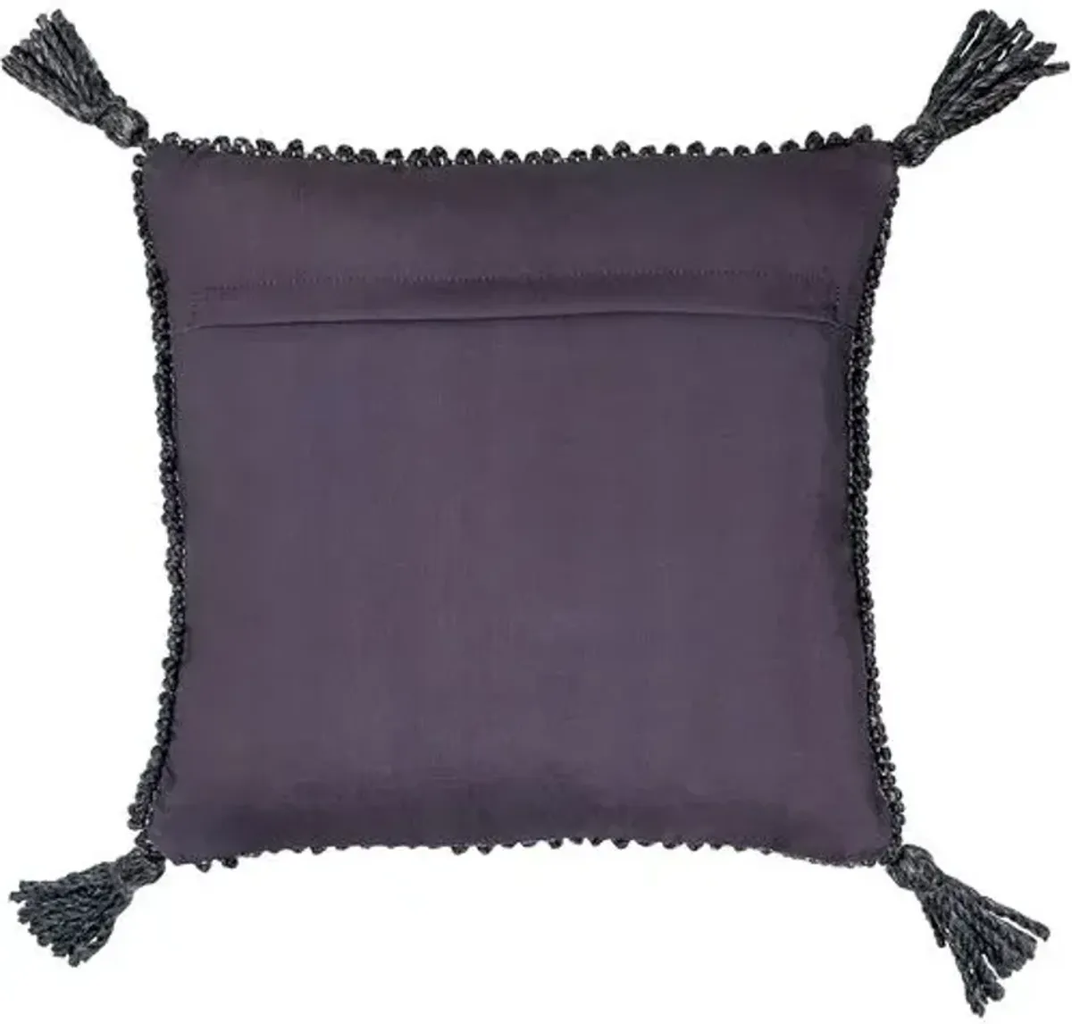 Alaric Chunky Tassel Indoor/Outdoor Pillow