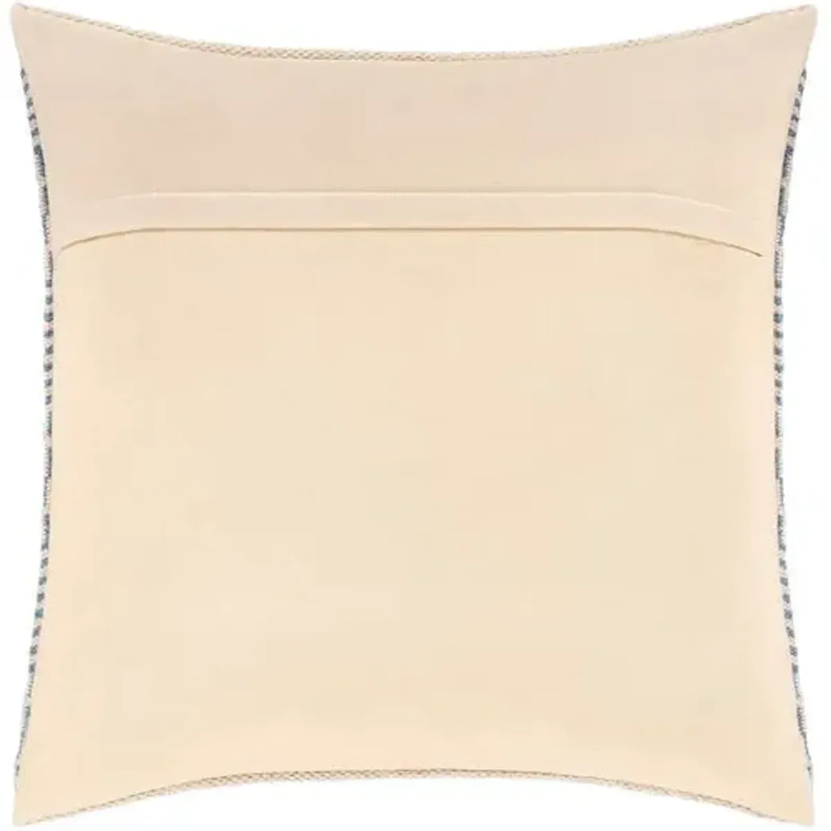 Ryder 20x20 Pillow - Light Blue/Ivory