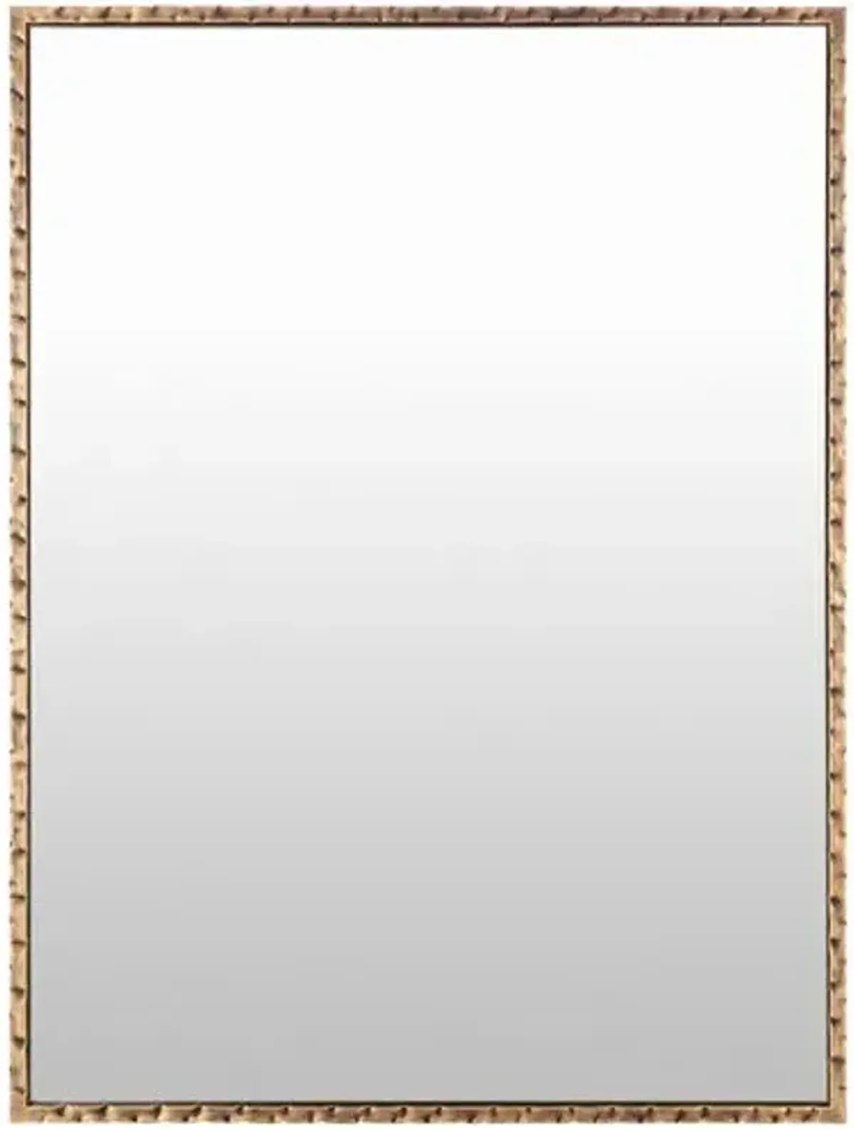 Salisbury Rectangular Wall Mirror - Hammered Gold