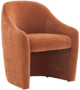 Rust Velvet color