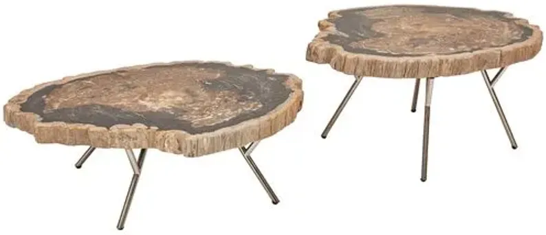 Set of 2 Larza Petrified Wood Coffee Tables - Brown