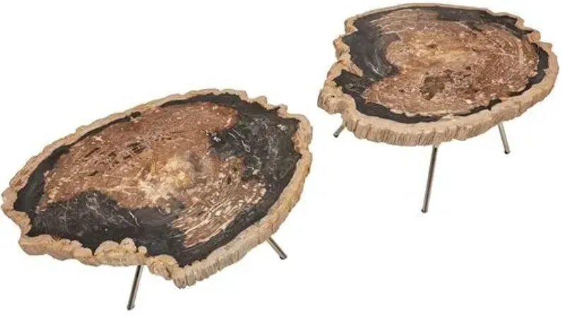 Set of 2 Larza Petrified Wood Coffee Tables - Brown