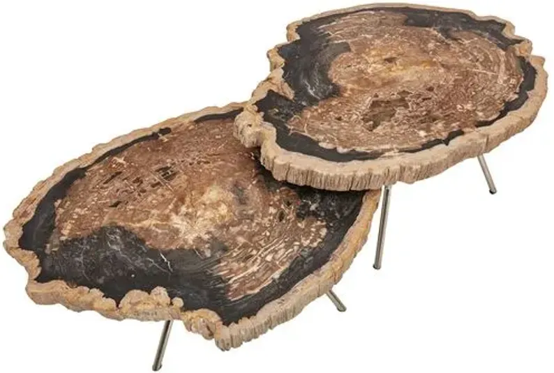 Set of 2 Larza Petrified Wood Coffee Tables - Brown