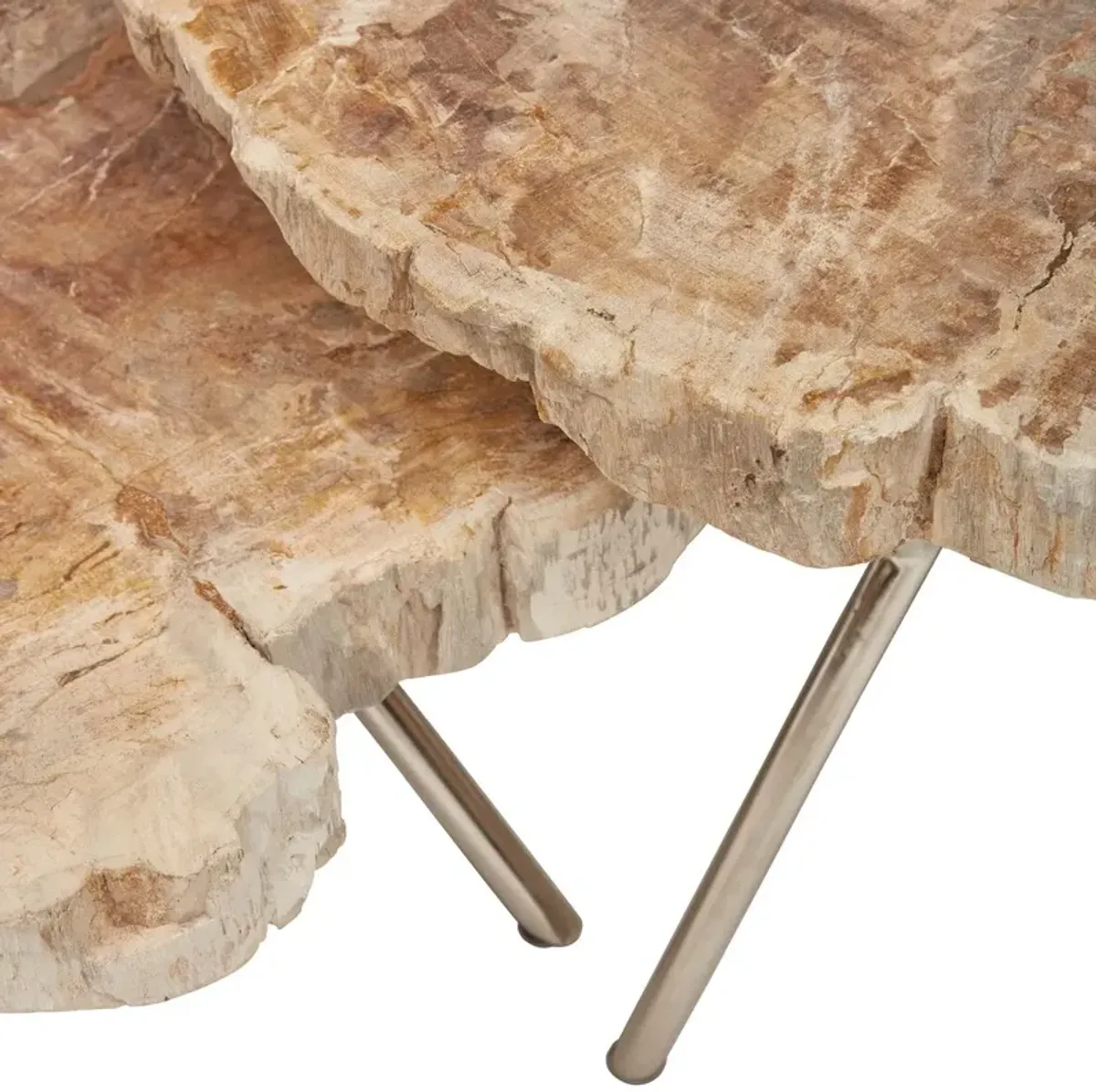 S/2 Larza Petrified Wood Coffee Tables