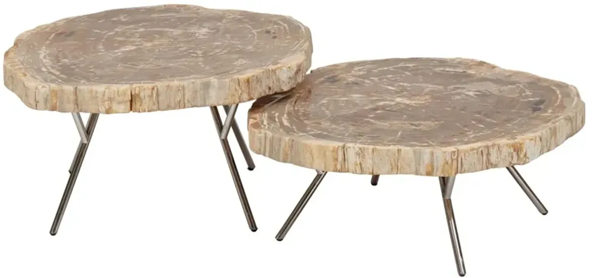 S/2 Larza Petrified Wood Coffee Tables
