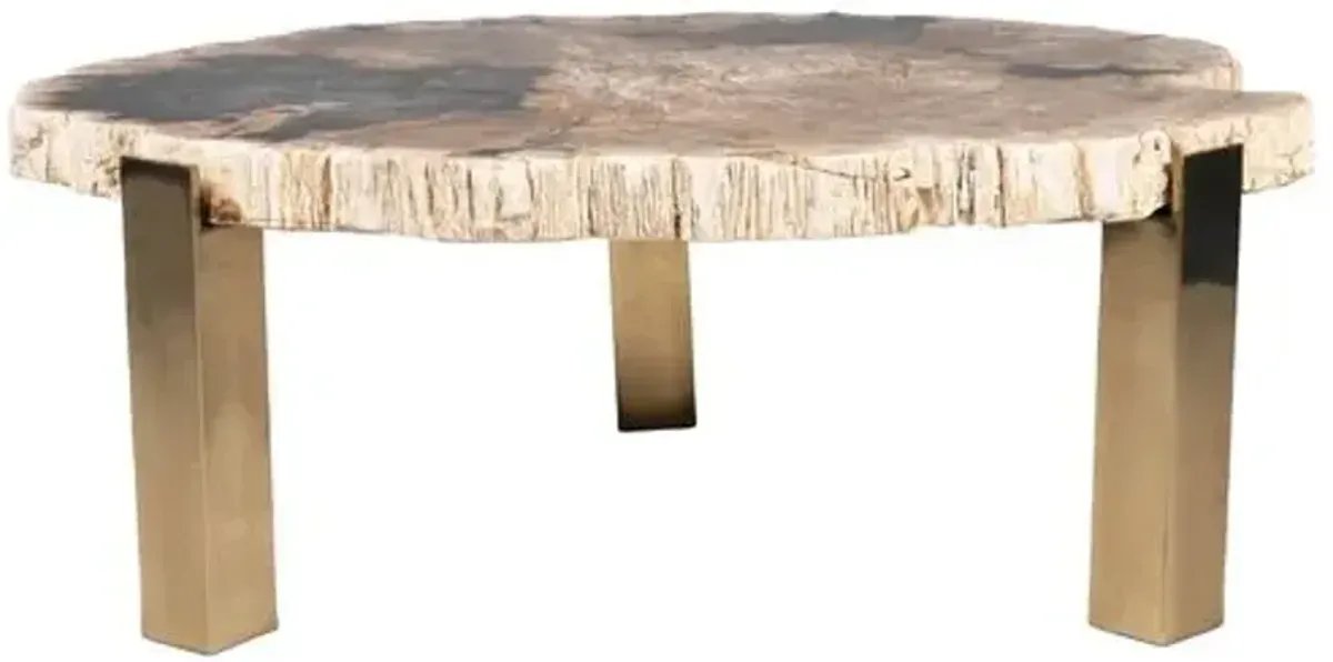 Larza Petrified Wood Coffee Table - Brown