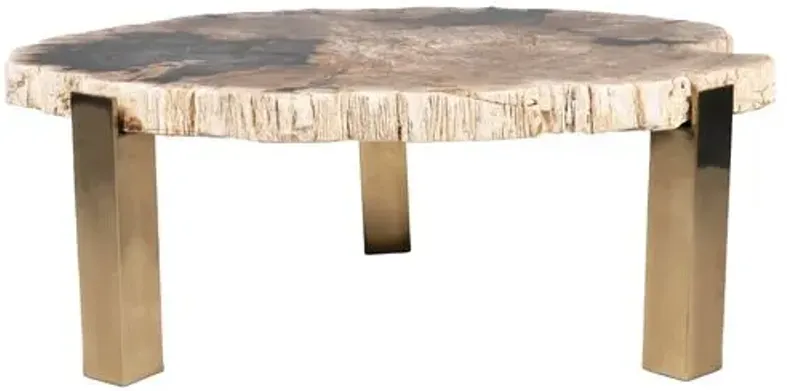 Larza Petrified Wood Coffee Table - Brown